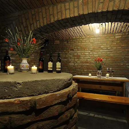 Penzionmoravia Gæstehus Moravská Nová Ves